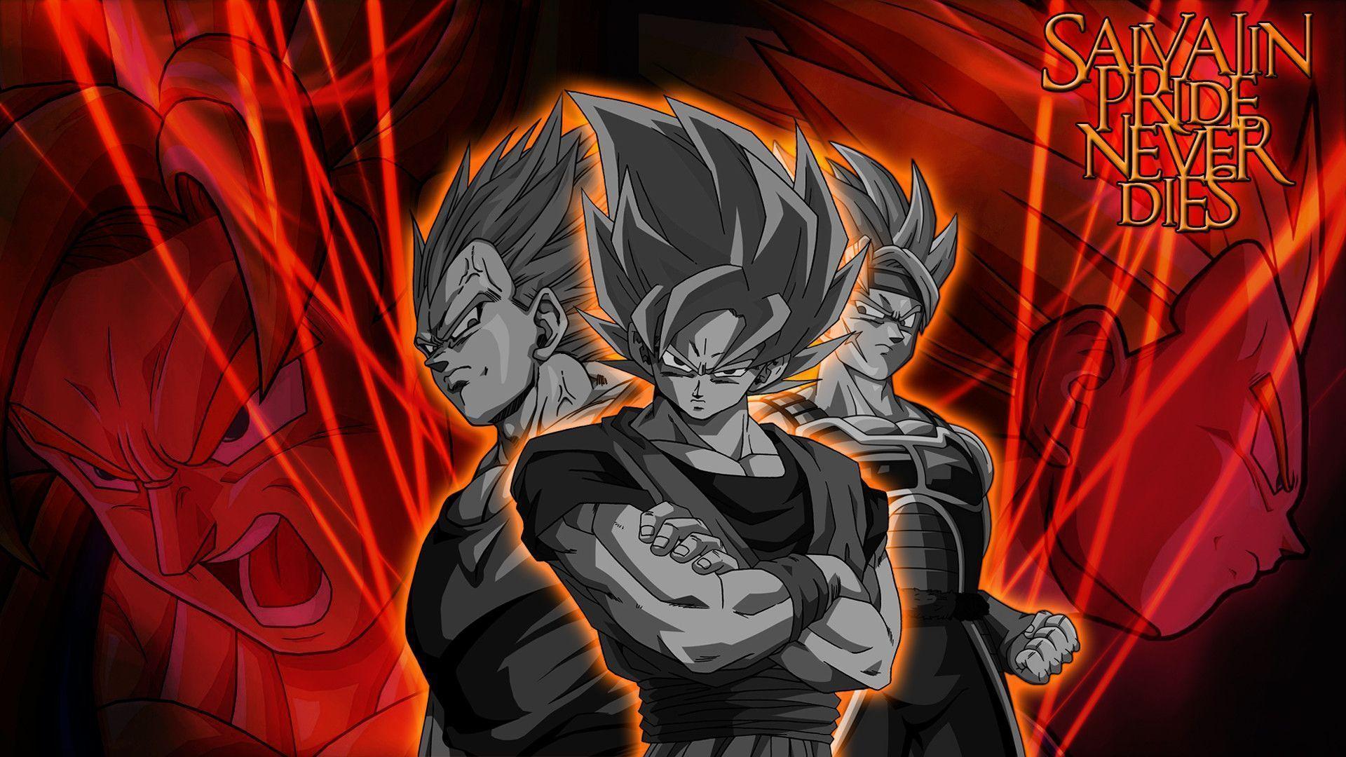 Goku And Bardock Dragon Ball Z Anime HD Wallpaper X