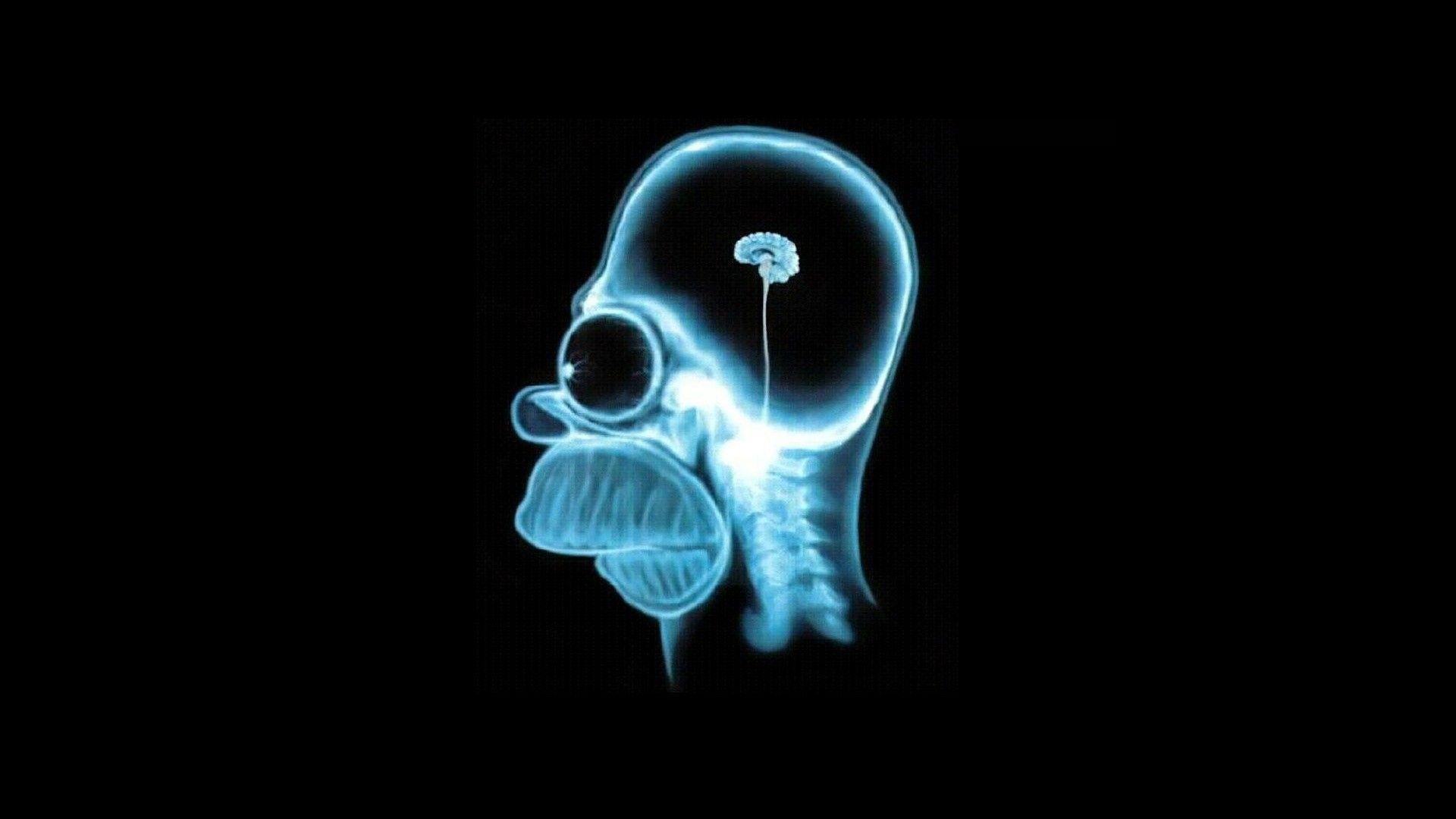 Funny Brain Scan Homer Simpson Wallpaper. Foolhardi