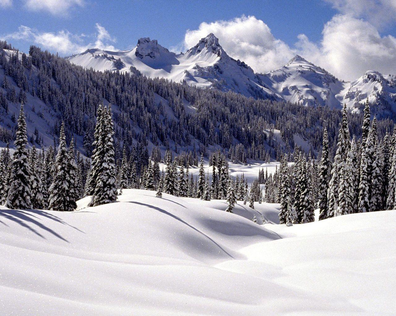 Winter wonderland : Dreamy Snow Scene wallpapers 1280x1024 NO.30