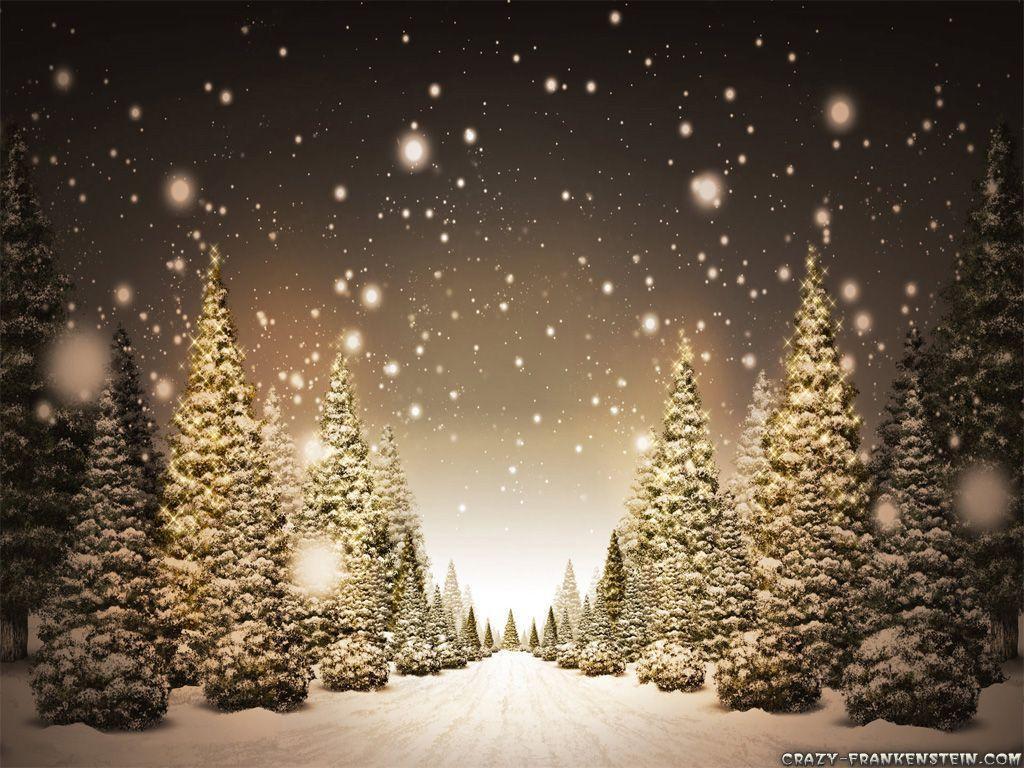 Wallpaper For > Snowy Christmas Tree Wallpaper