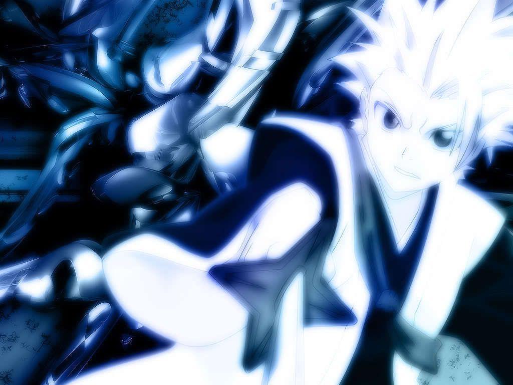 Hitsugaya Wallpapers - Wallpaper Cave