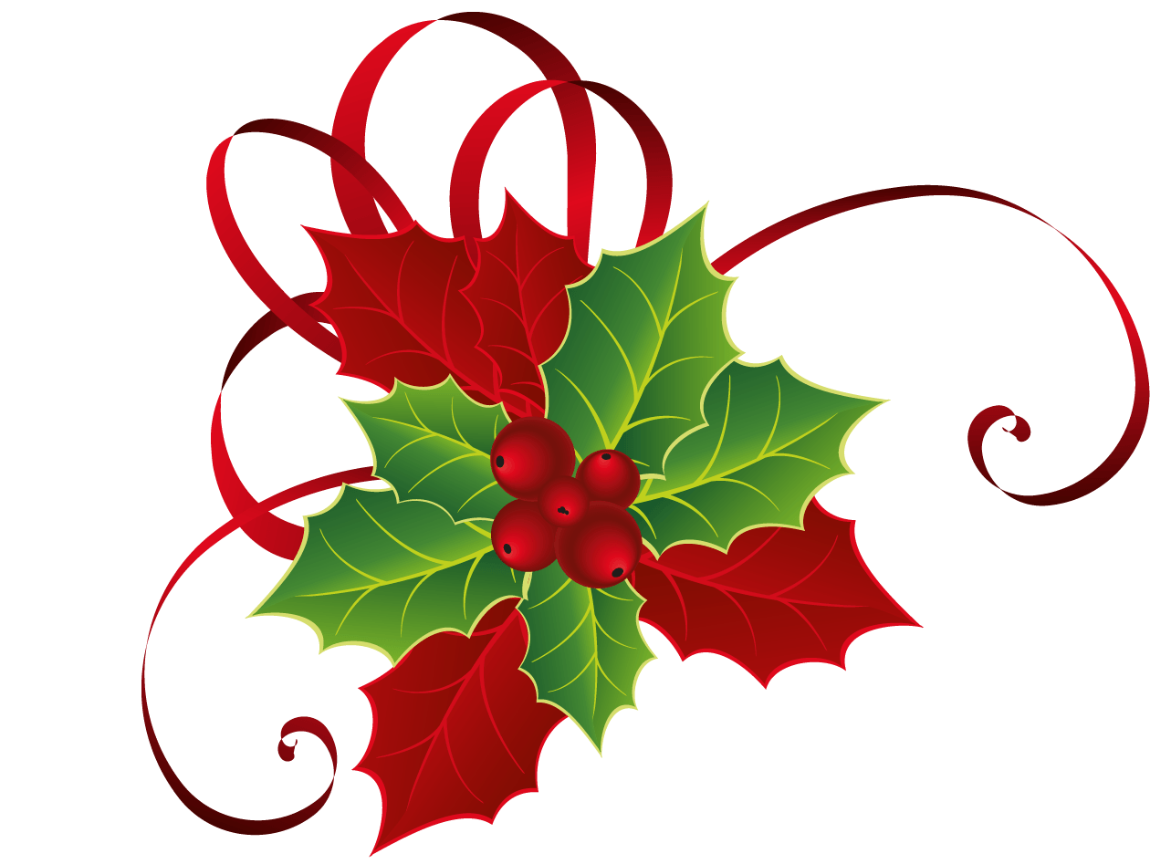 Christmas Red Green Mistletoe PNG Picture