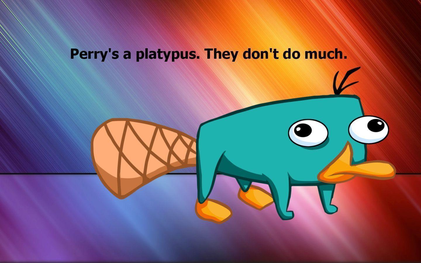 Perry The Platypus Image 21 1080p