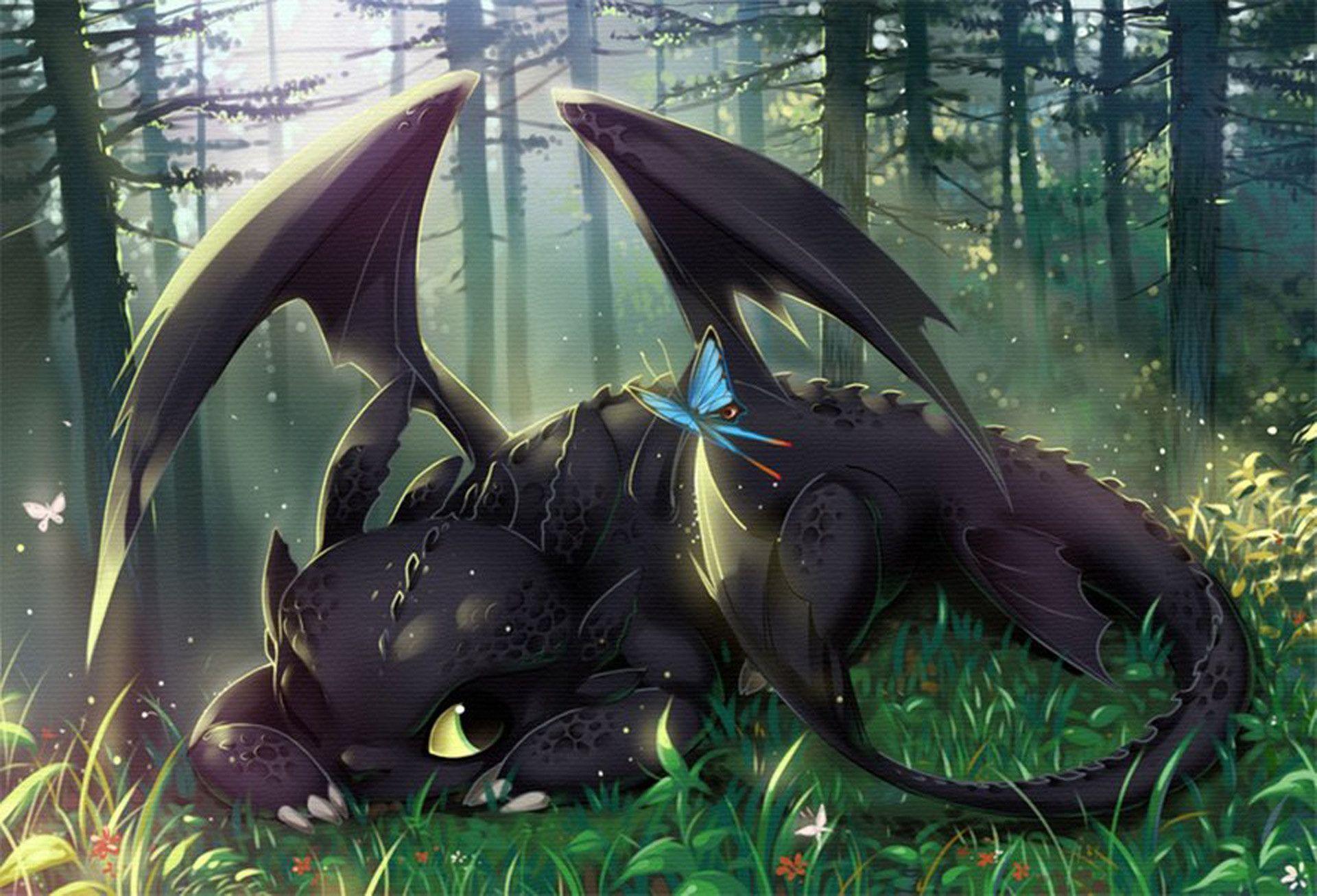 toothless wallpaper