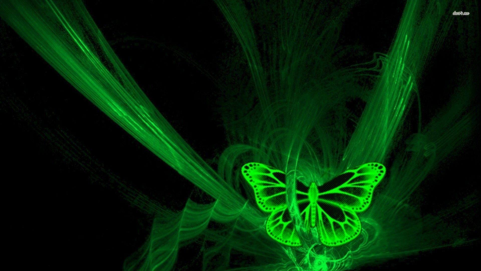 Wallpaper For > Light Green Butterfly Wallpaper