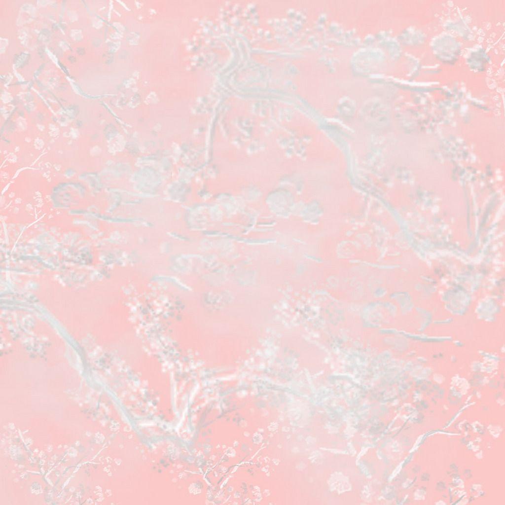 Pink Picture and Wallpaper Items