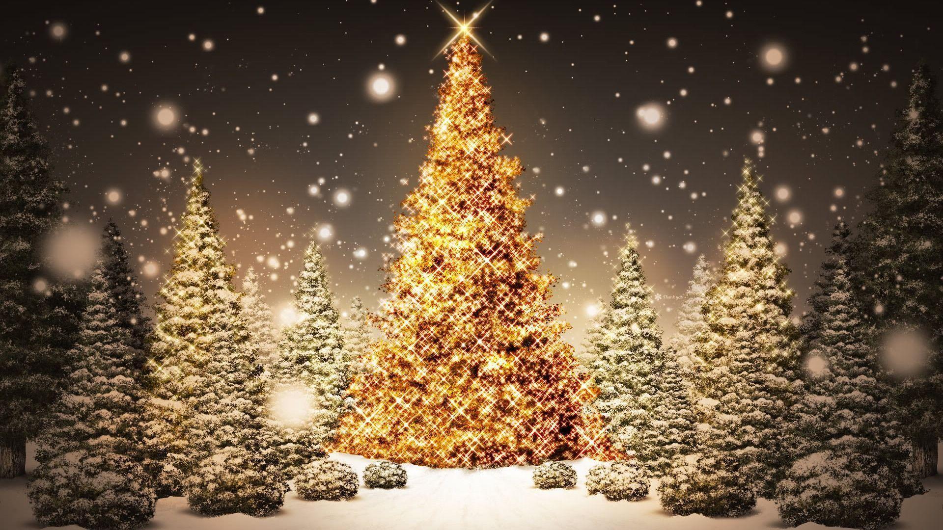 Free Winter Christmas Trees Wallpaper, Free Winter Christmas
