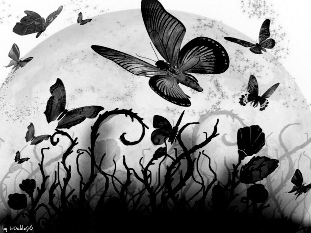 Wallpapers For > Black Butterfly Backgrounds