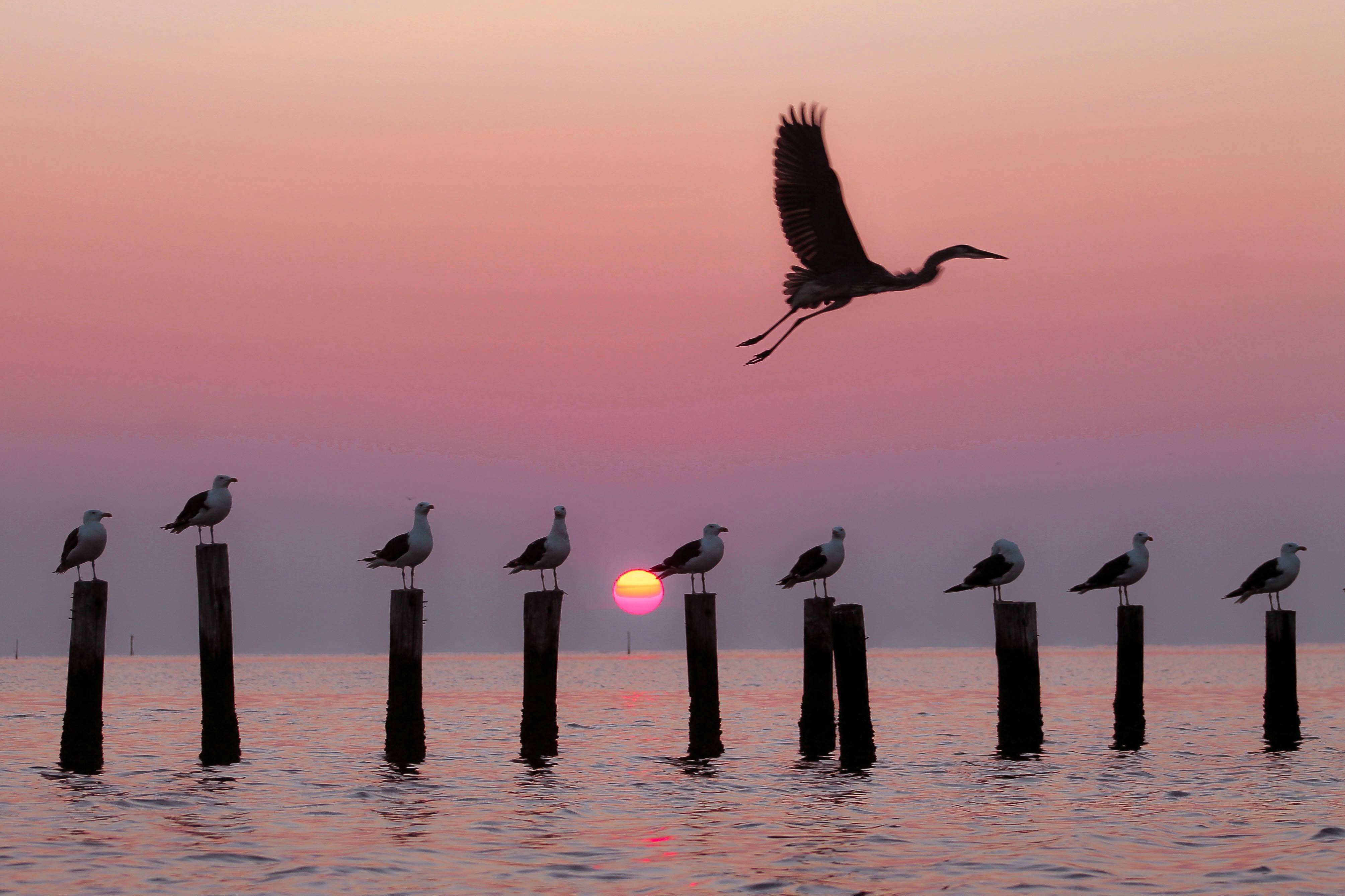 Took this picture of morning rush hour on the Chesapeake Bay