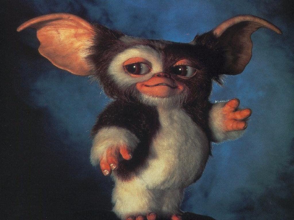 Gizmo The Gremlin Jxhy Wallpaper 1024x768 px Free Download