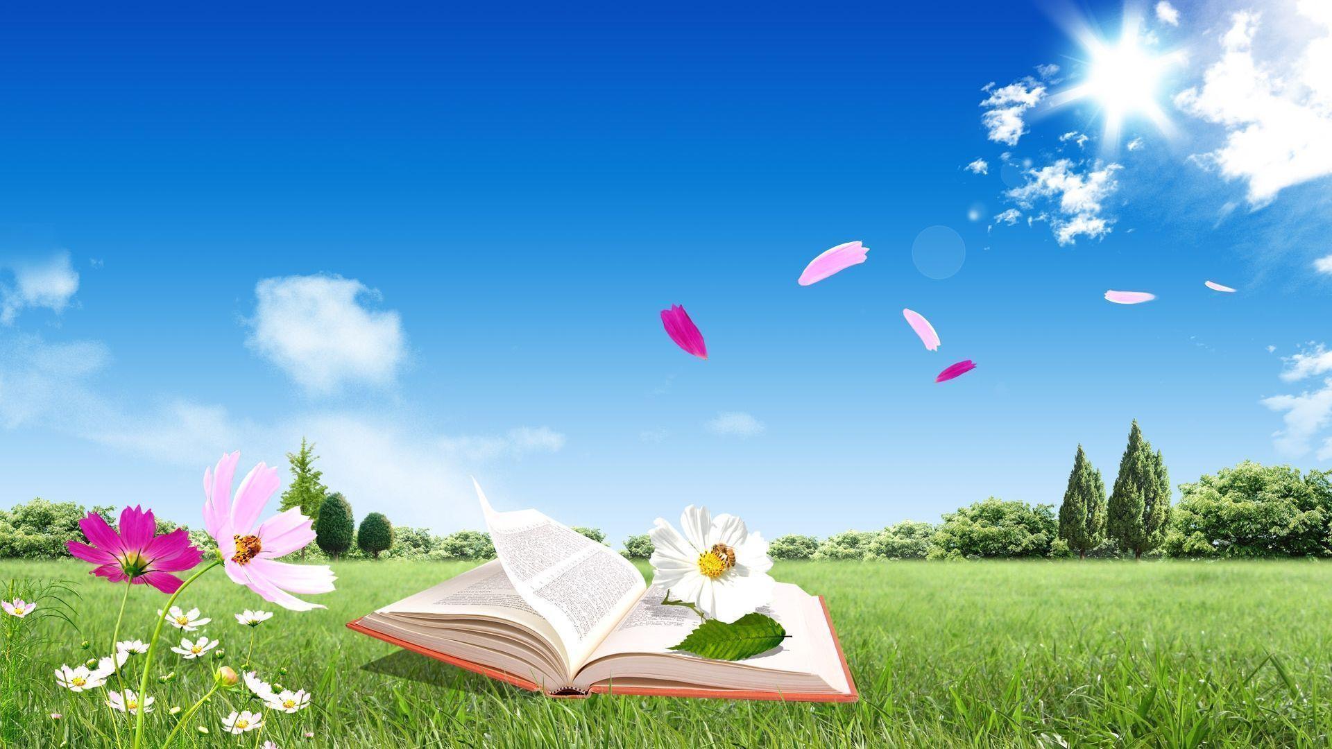 Wallpaper For Desk 367956 High Definition Wallpaper