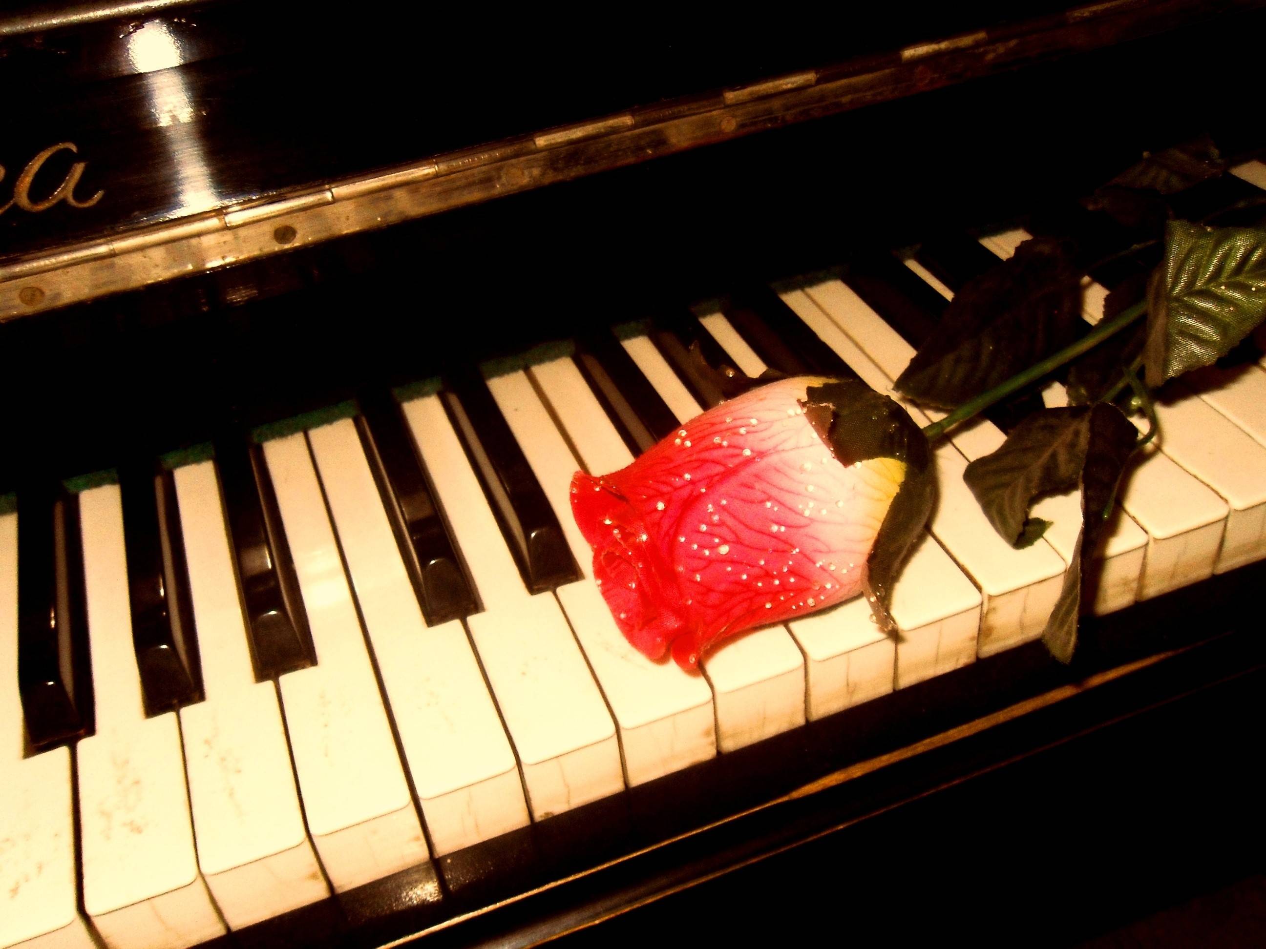 Music Piano 5184×3456 Wallpaper 1614016