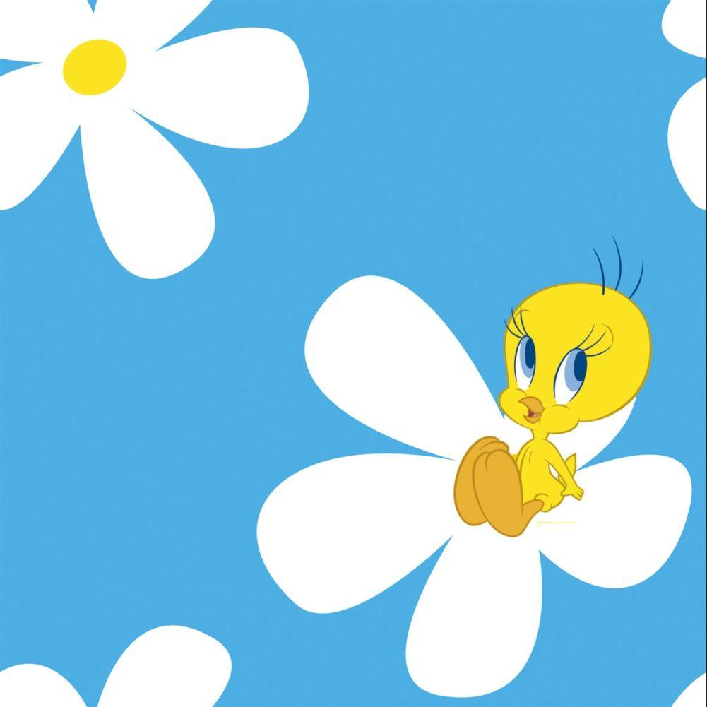 HD Wallpaper Tweety Bird Free Download