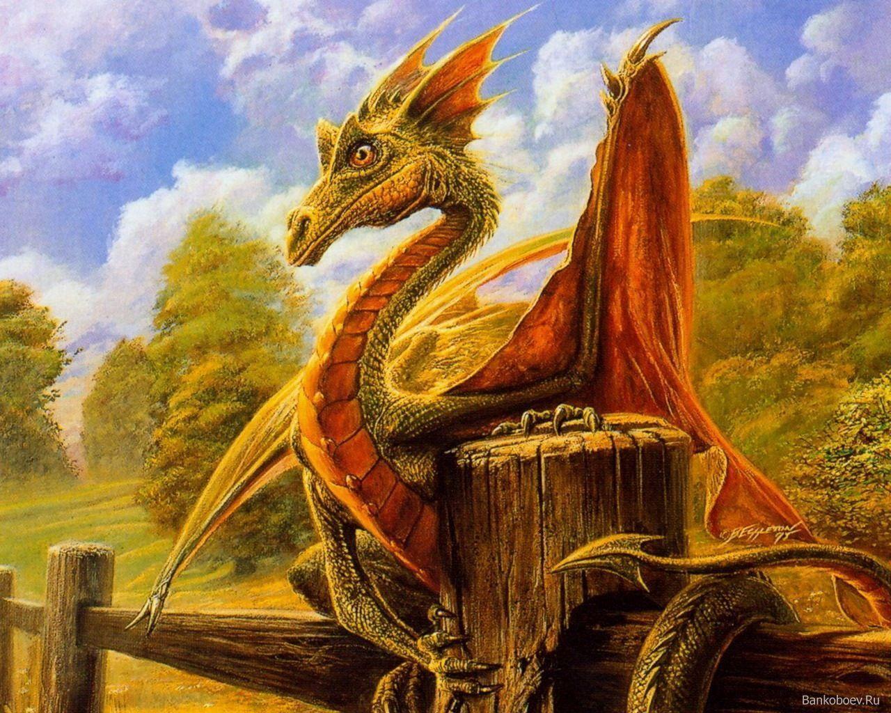  A green dragon sits on a wooden fence in a field, looking at a human.