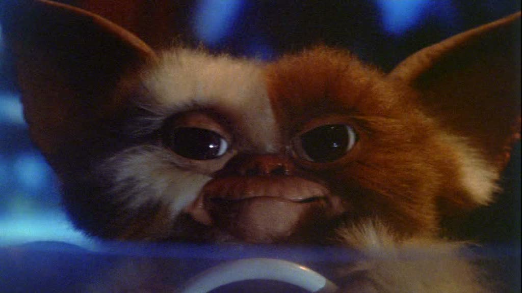 Gallery For > Gizmo From Gremlins Driving