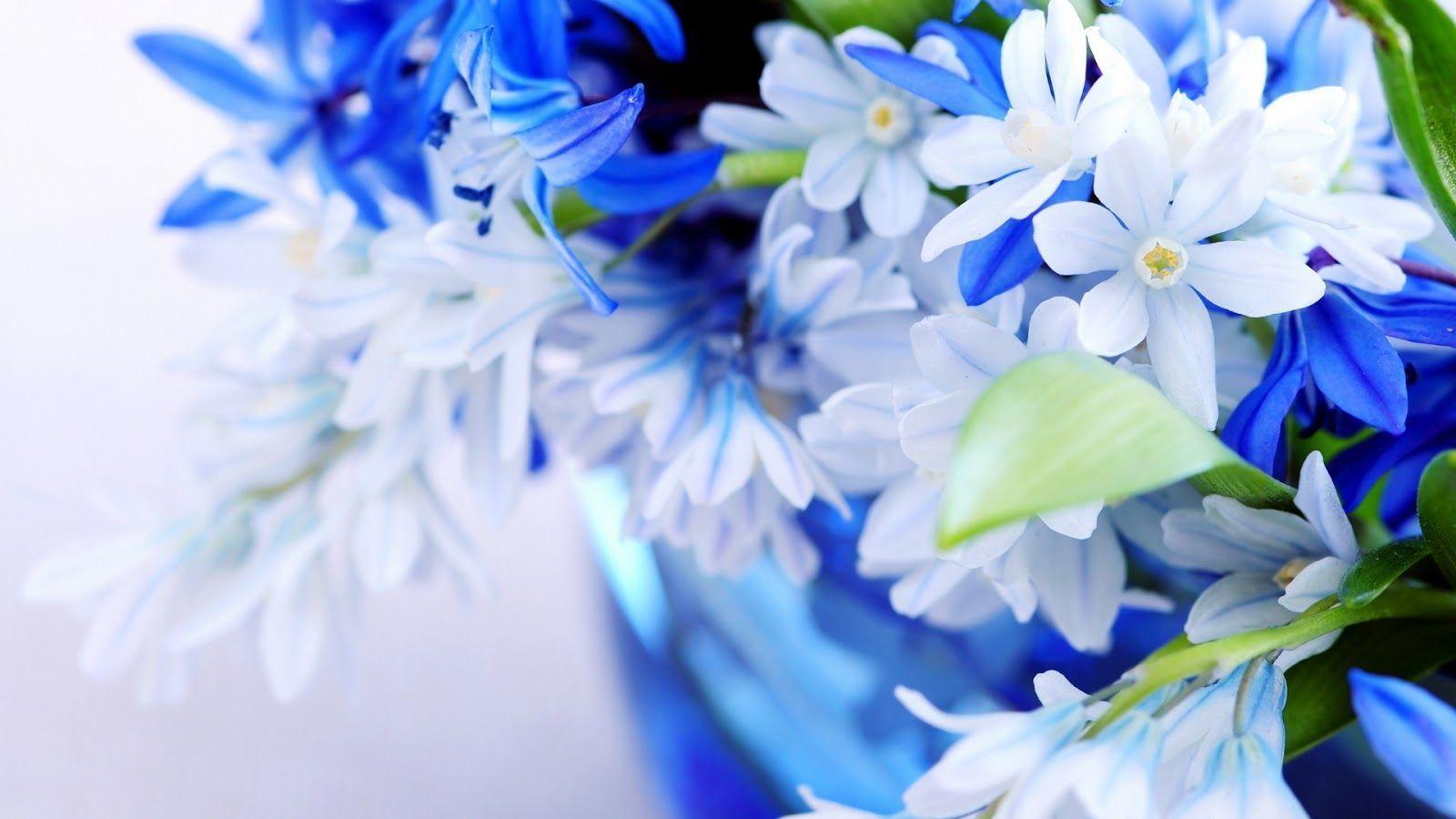 Beautiful Flower Photo For Desk HD Wallpaper