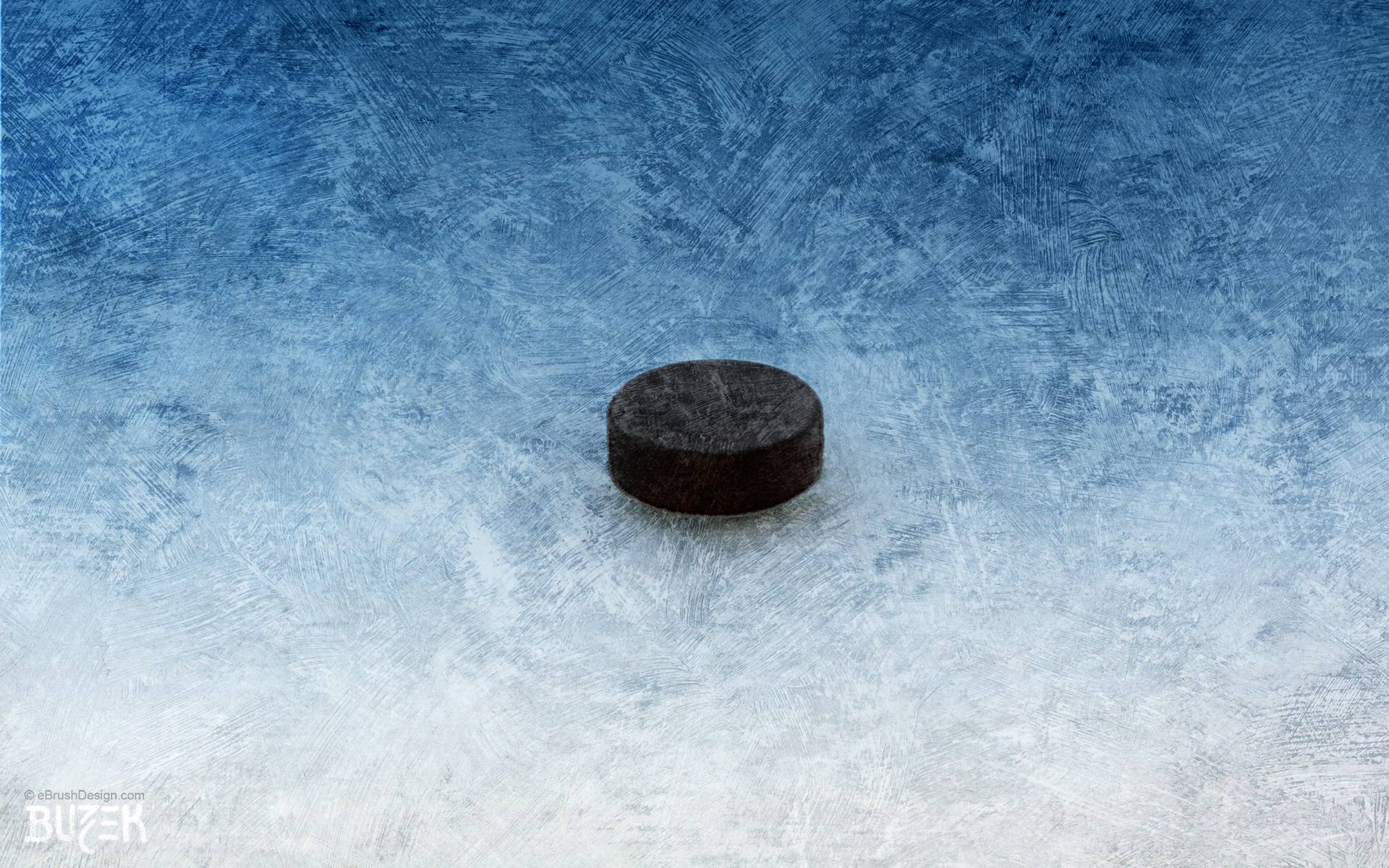 Pix For > Ice Hockey Background
