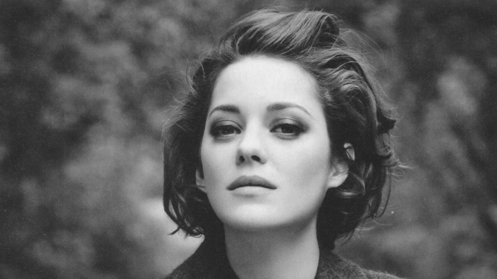 Marion Cotillard Latest HD Wallpaper Free Download. HD Free