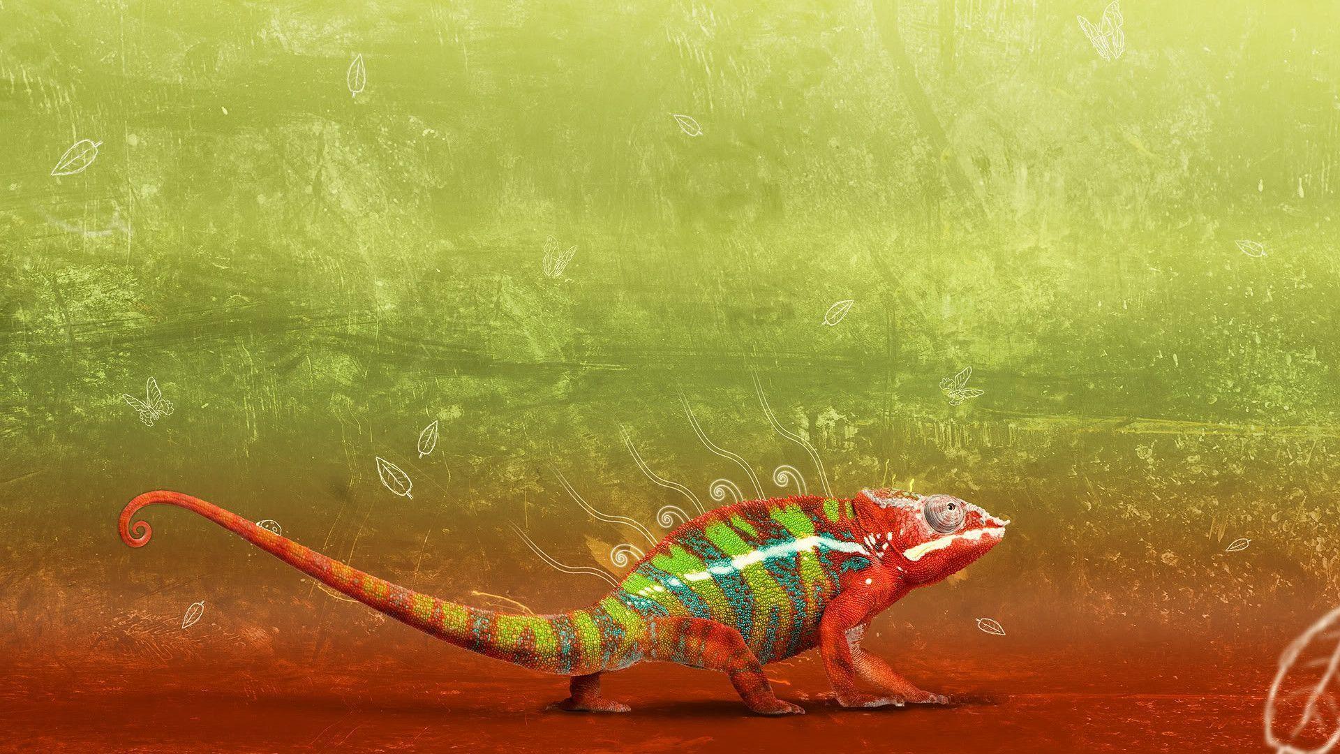 Gecko. Sky HD Wallpaper