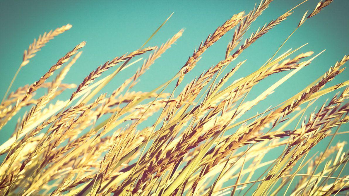 Best Wallpaper 1366x768