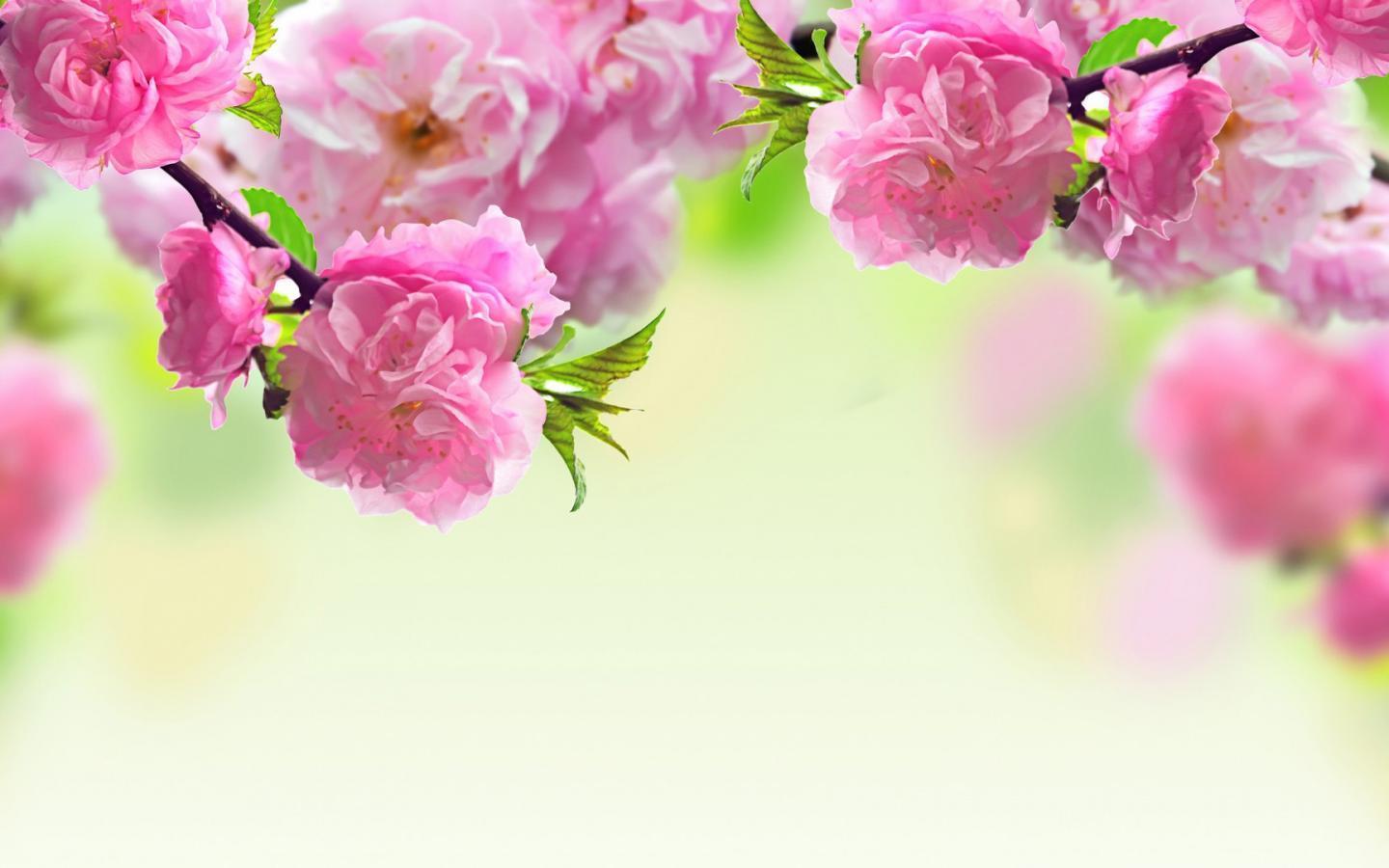 Spring Wallpaper Desktop Pc And Mac Wallpaper. Jordans9