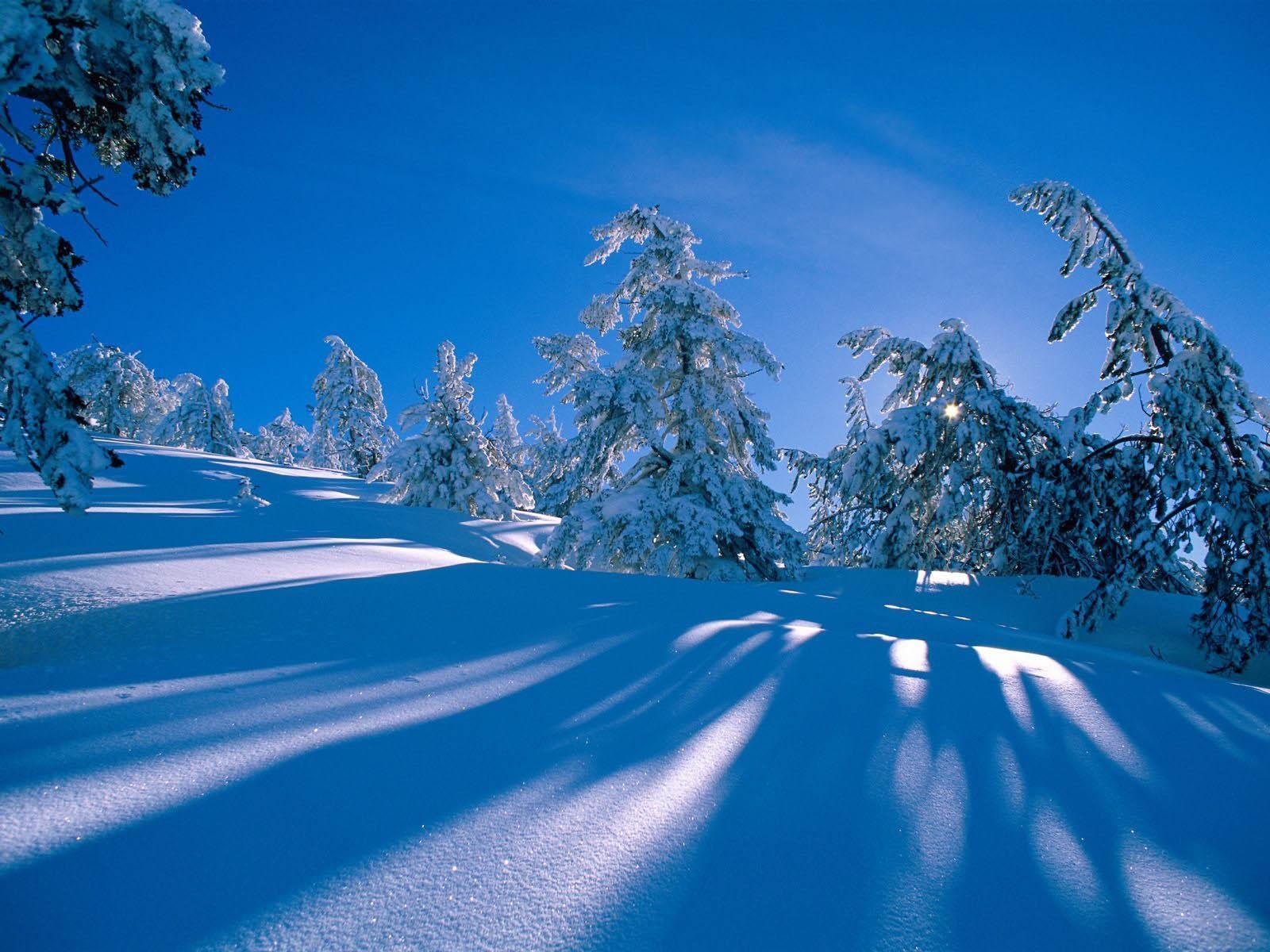 image For > January Winter Background