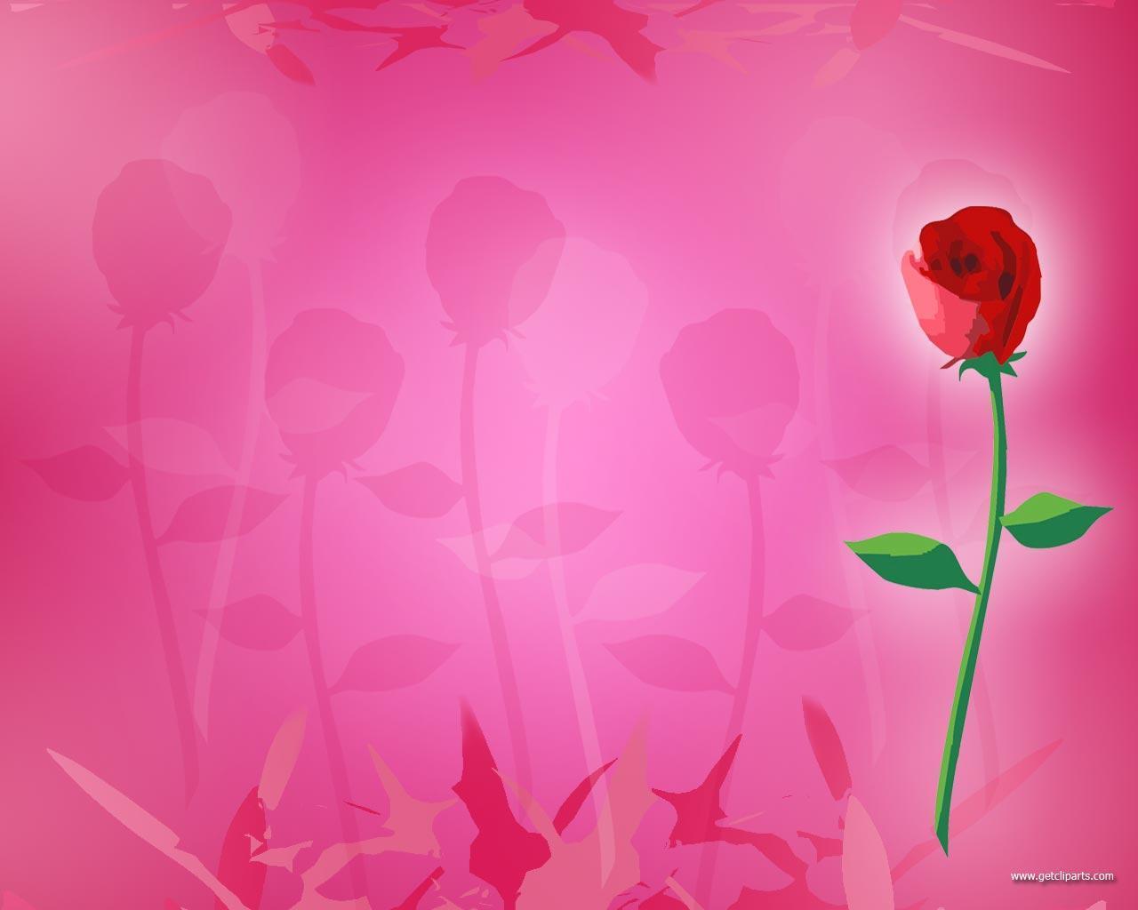 Rose Background. HD Wallpaper Image