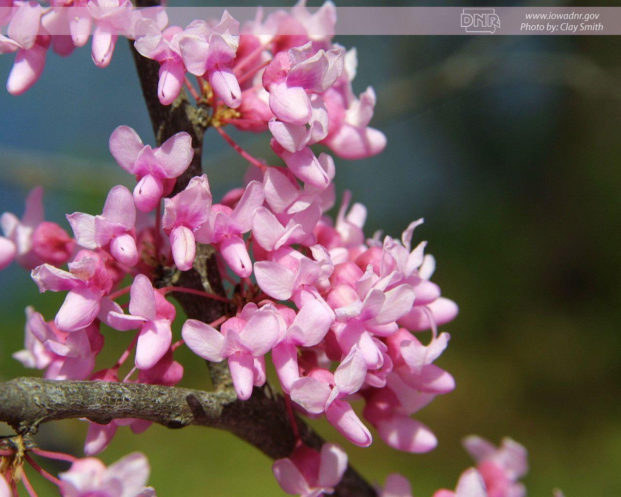 Wallpaper Foto HD Cool 7 HD Wallpaper. Hdwalljoy