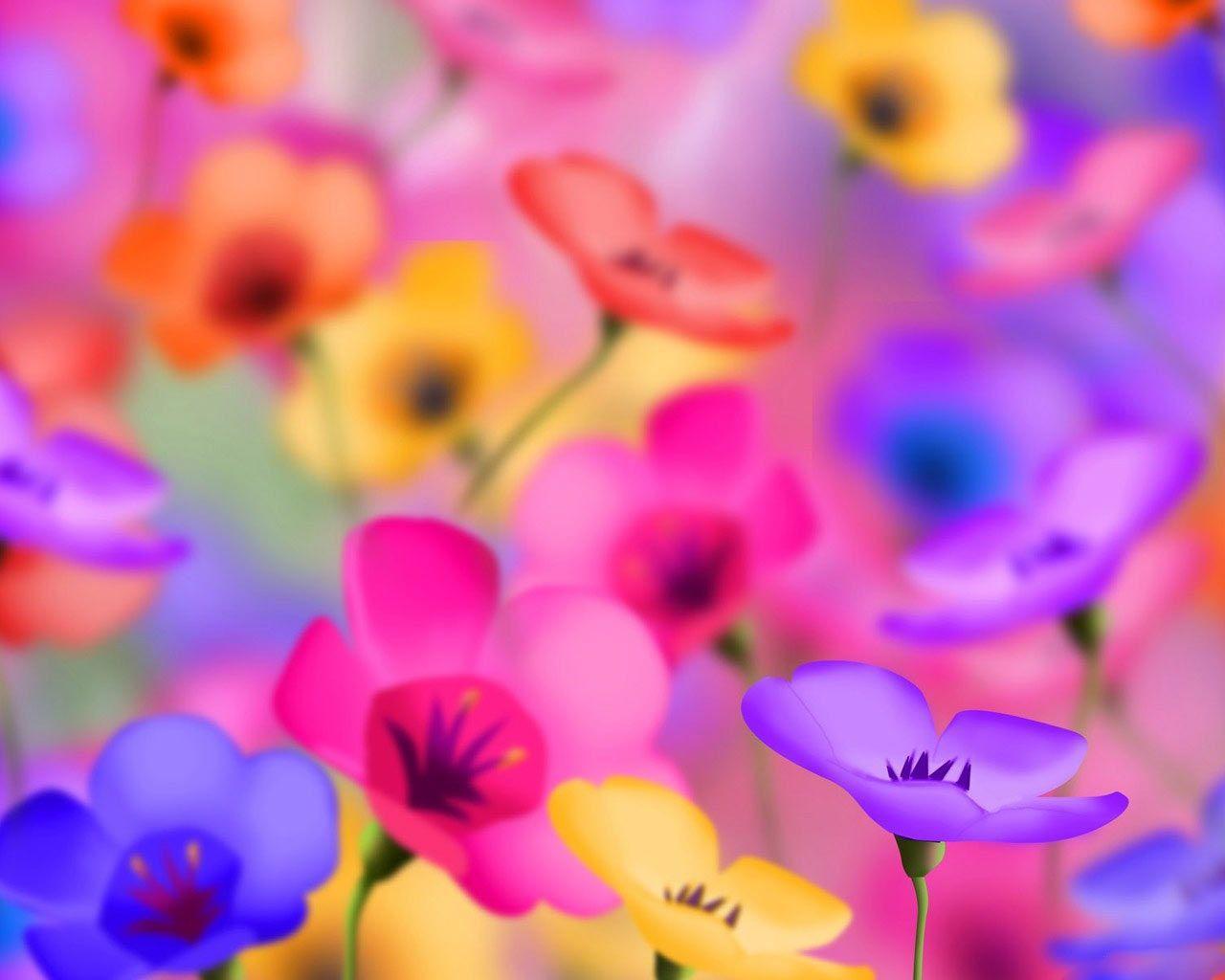 Desktop Wallpaper · Gallery · Windows 7 · Colorful Flowers desktop