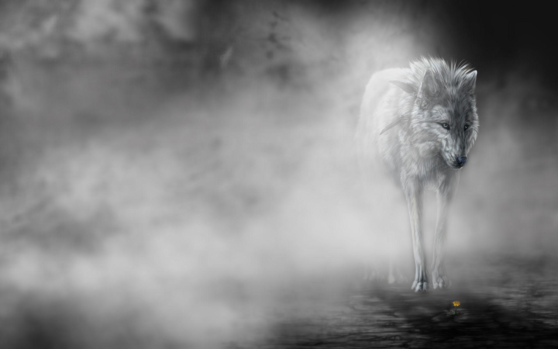Animals wolf wolves predator fantasy mood emotion art fog mist