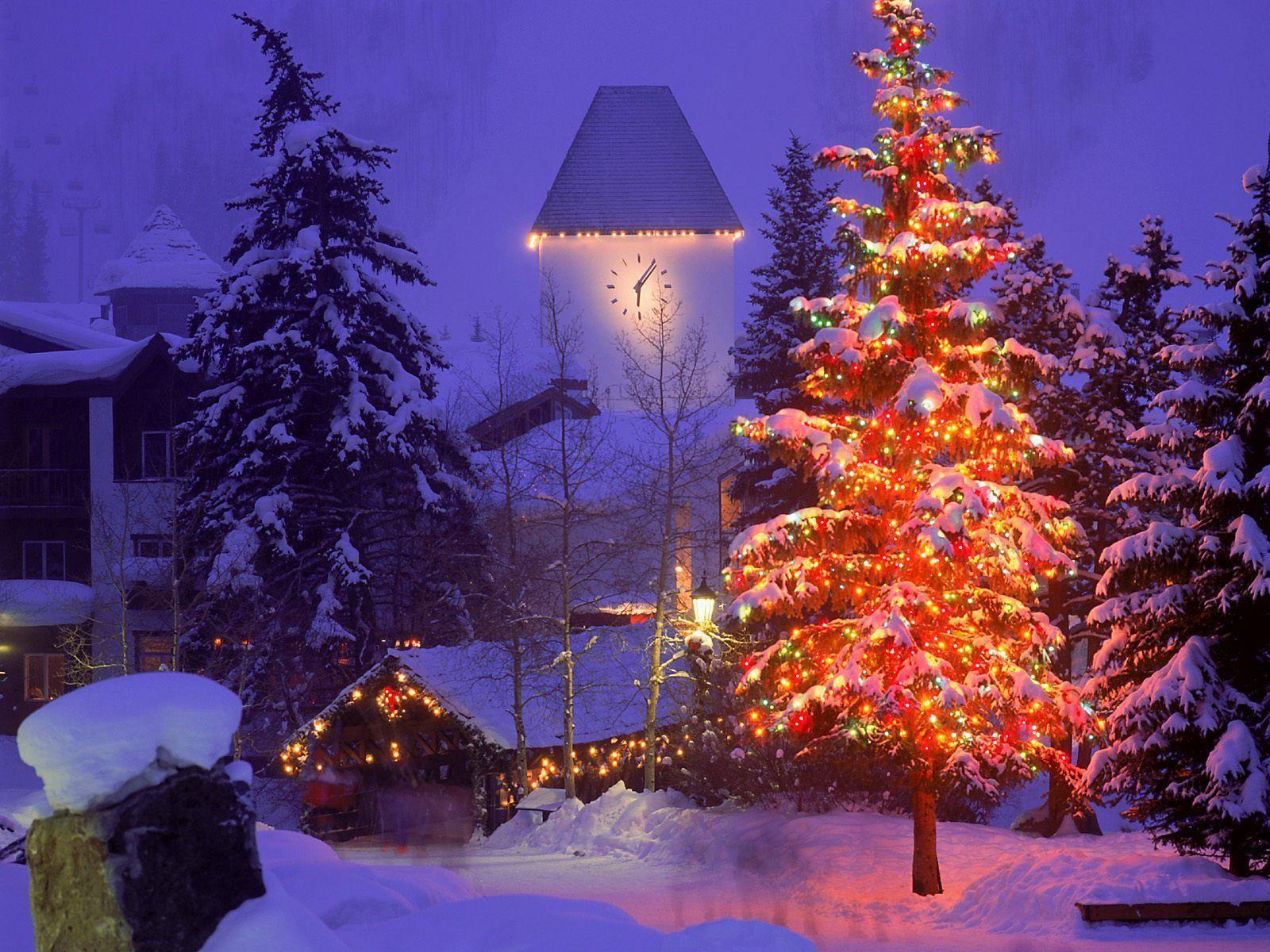 Free Beautiful Christmas Tree in Christmas Village wallpaper