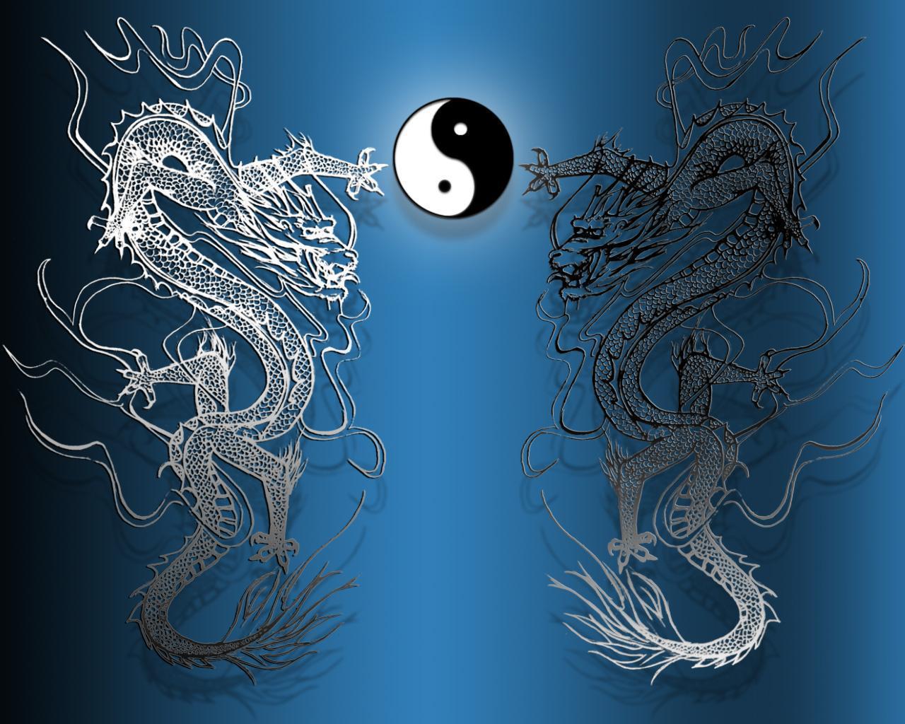 ying yang dragons, Desktop and mobile wallpaper