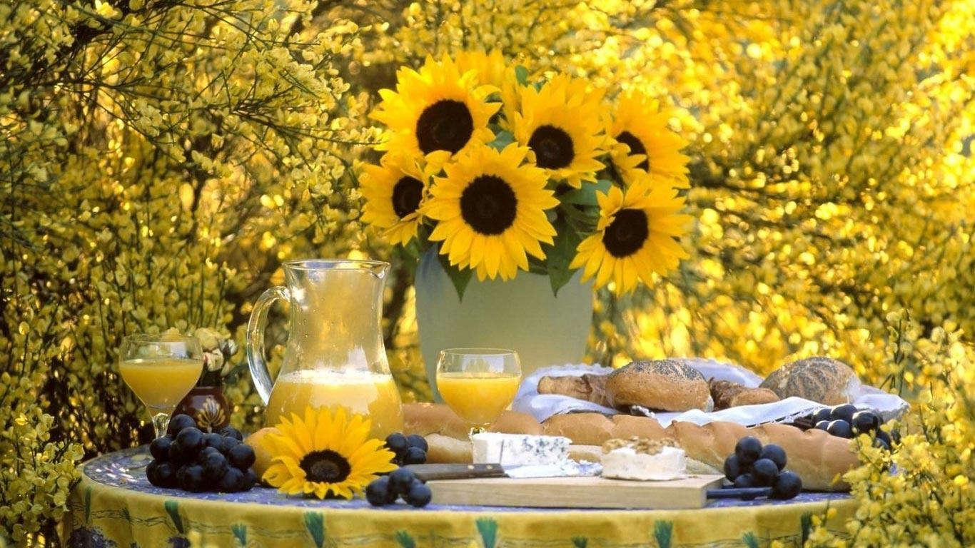 Desktop background // Computers // Laptops. Netbook // Laptop