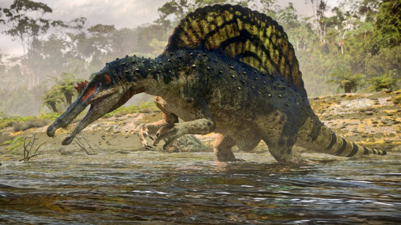 Spinosaurus (Wallpaper)