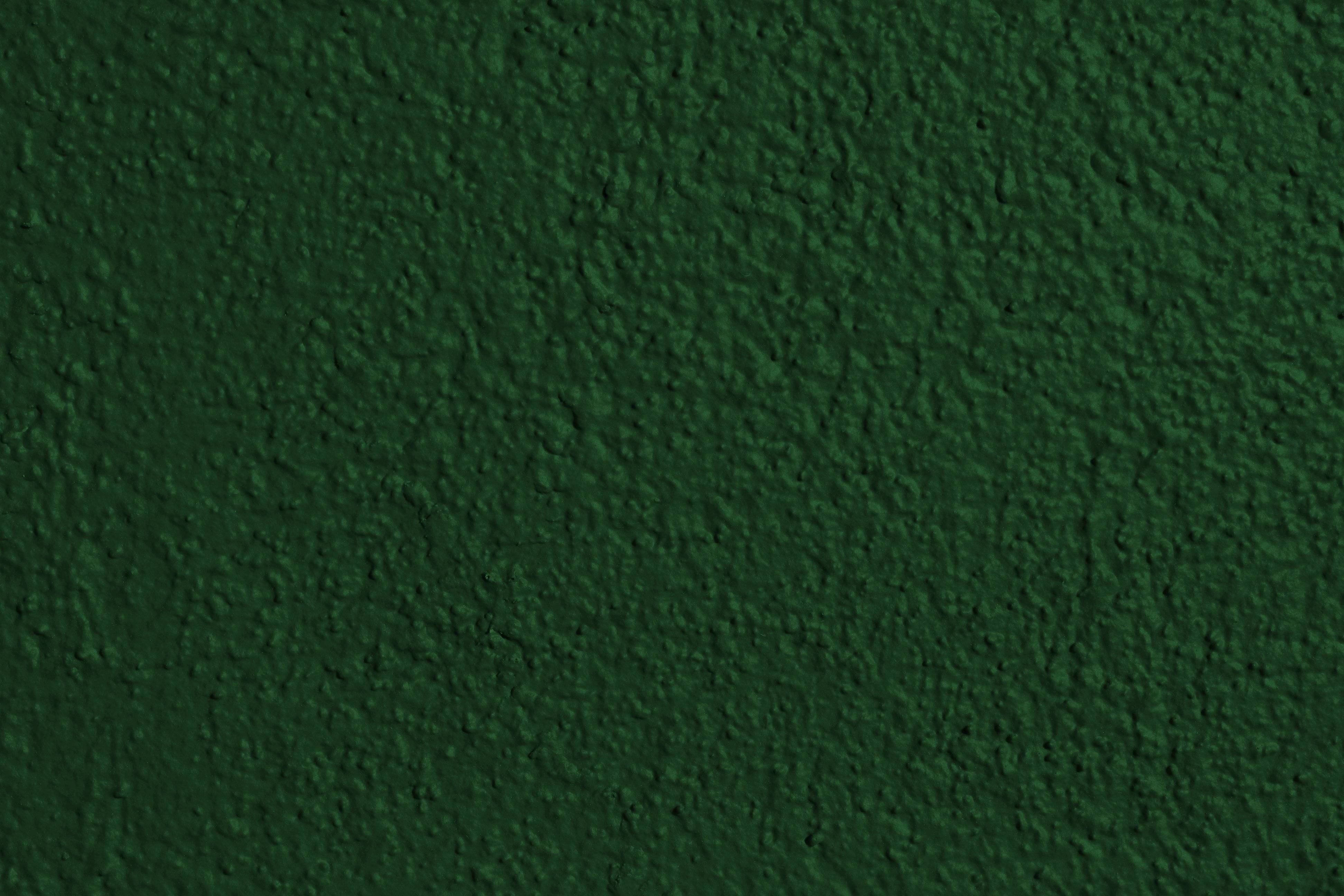 Forest Green Painted Wall Texture Picture. Free Photograph
