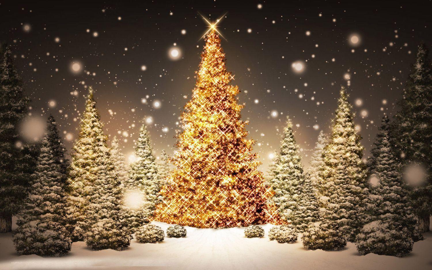 Free Happy Merry Christmas Tree Wallpaper & HD picture. Download