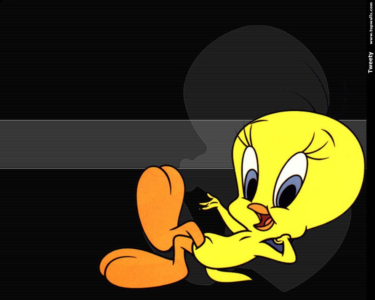 Tweety Tweety Tweety bird drawing Looney tunes Cute Tweety Bird HD  phone wallpaper  Pxfuel