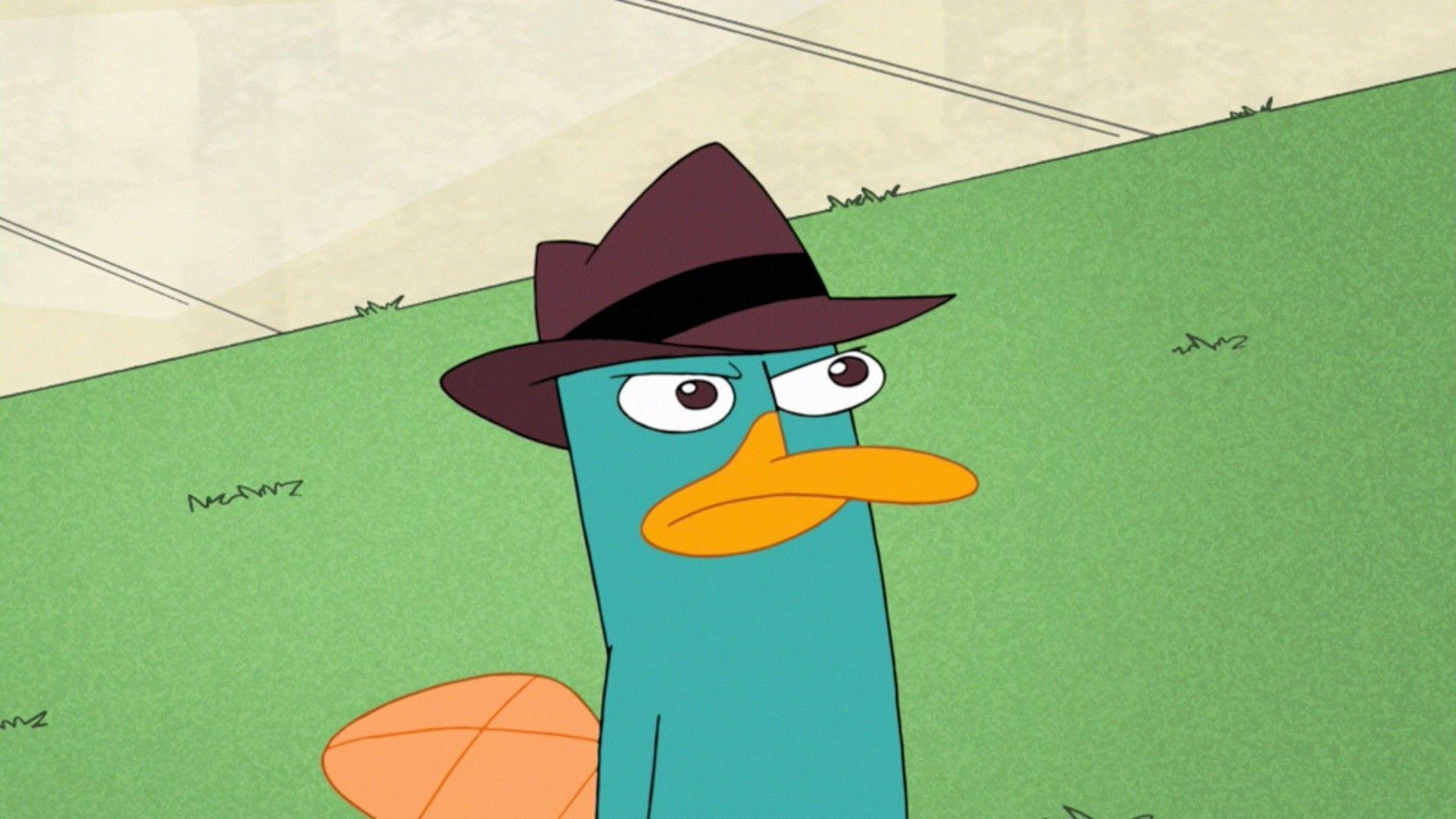 image Cool Background Perry The Platypus, Wallpaper, HD