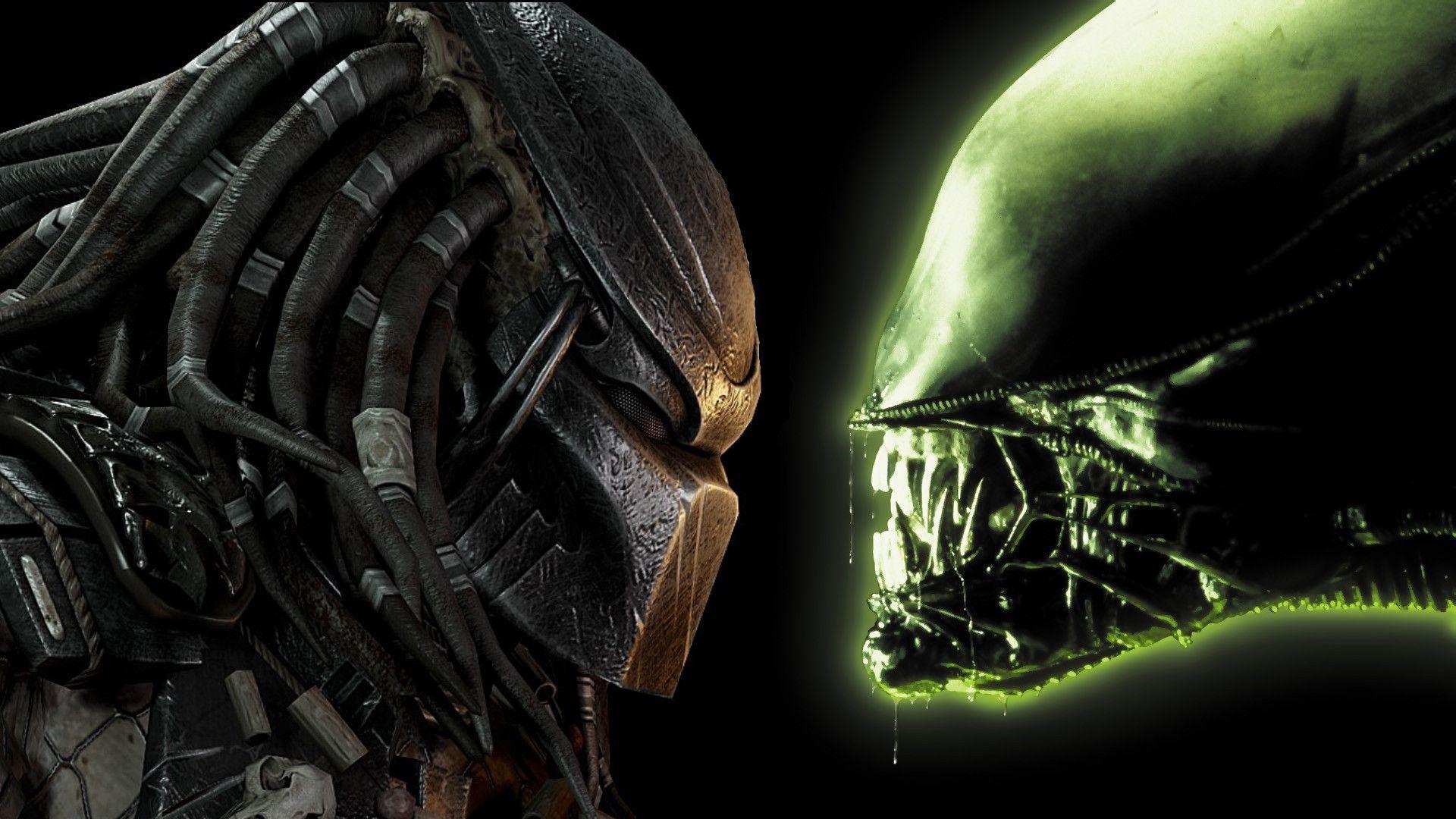 Cool Alien vs Predator Wallpapers on WallpaperDog