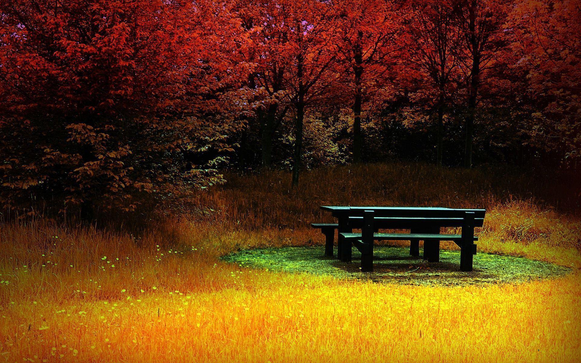 Lonely Bench Nature Wallpaper Nature Wallpaper HD Free Wallpaper