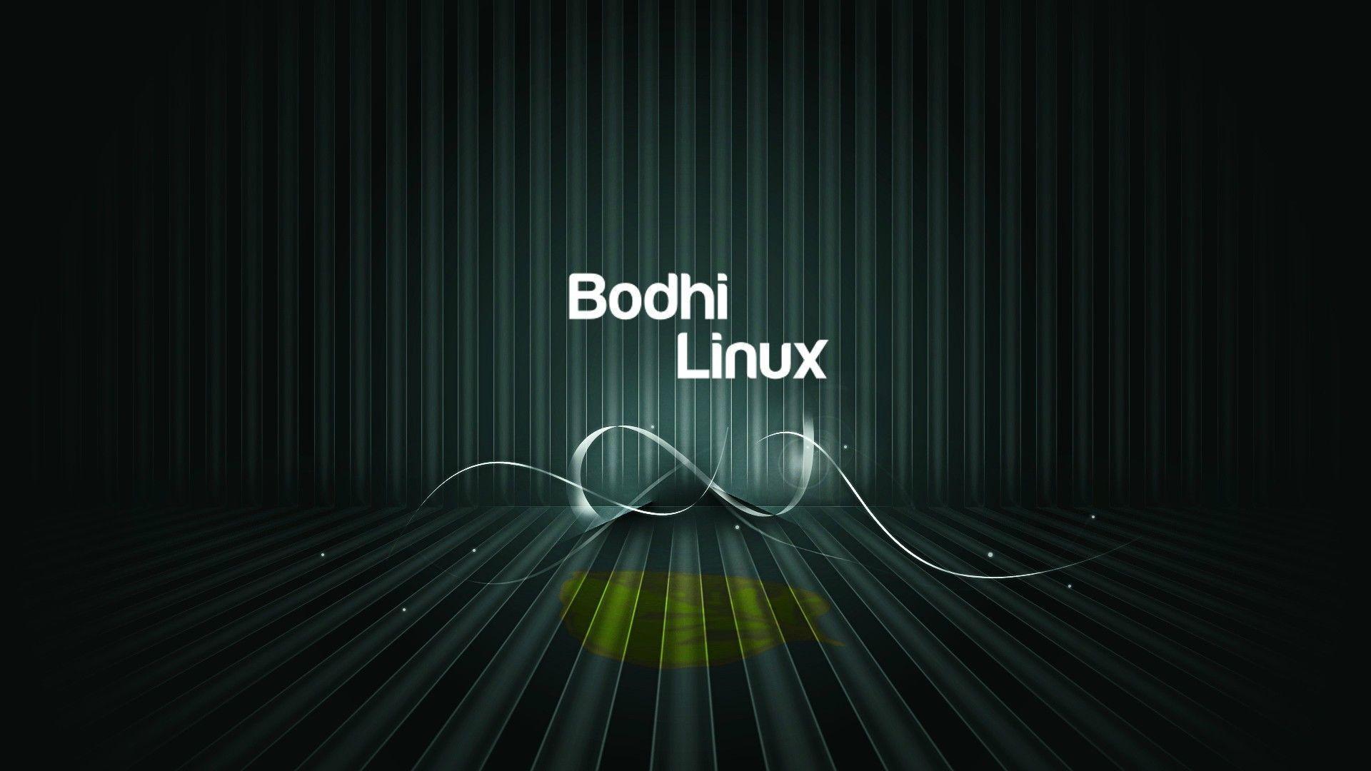 The Of Linux Bodhi Linux (id: 172647)