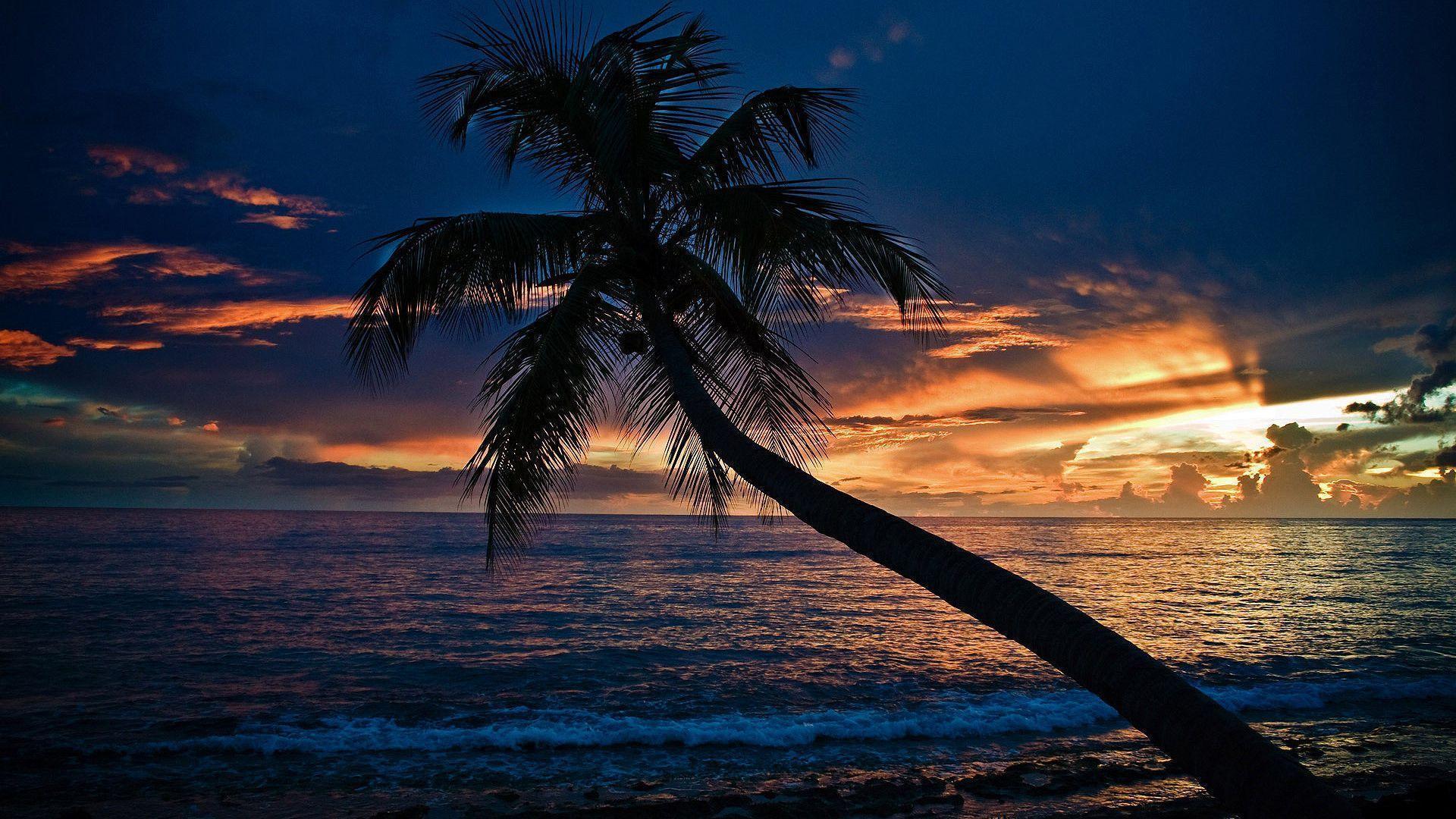 Nighttime Beach Wallpaper