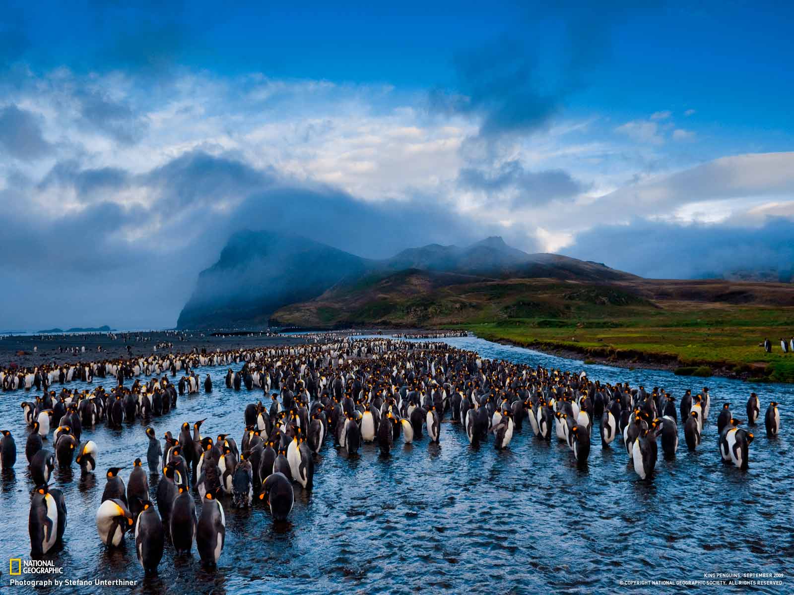 Most Famous National Geographic HD Wallpaper -Part 10. Unique