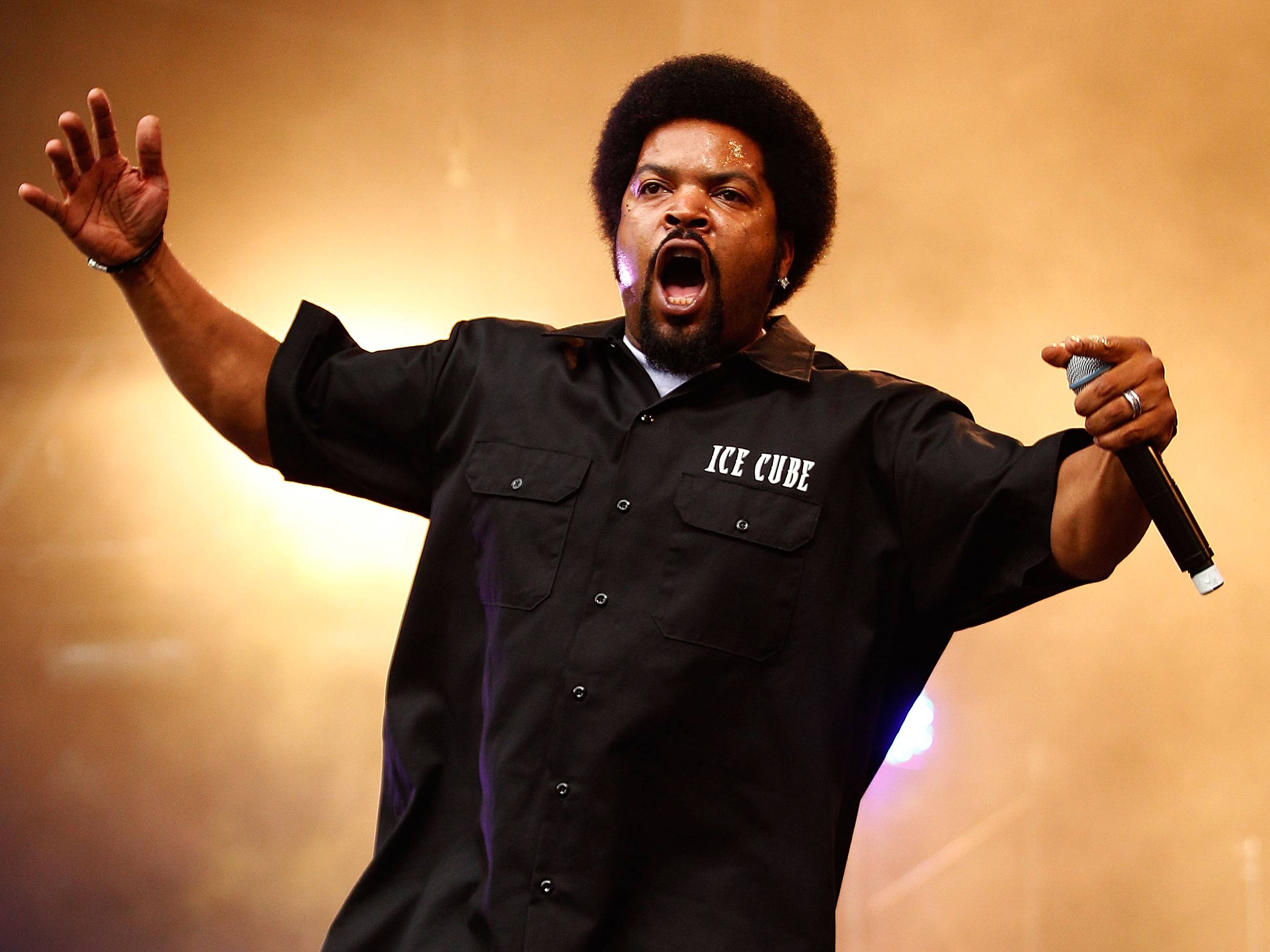 Ice Cube Rapper