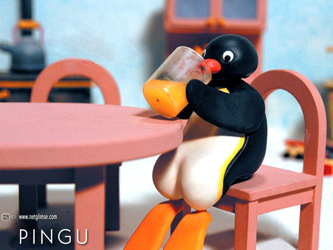 Pingu The Penguin
