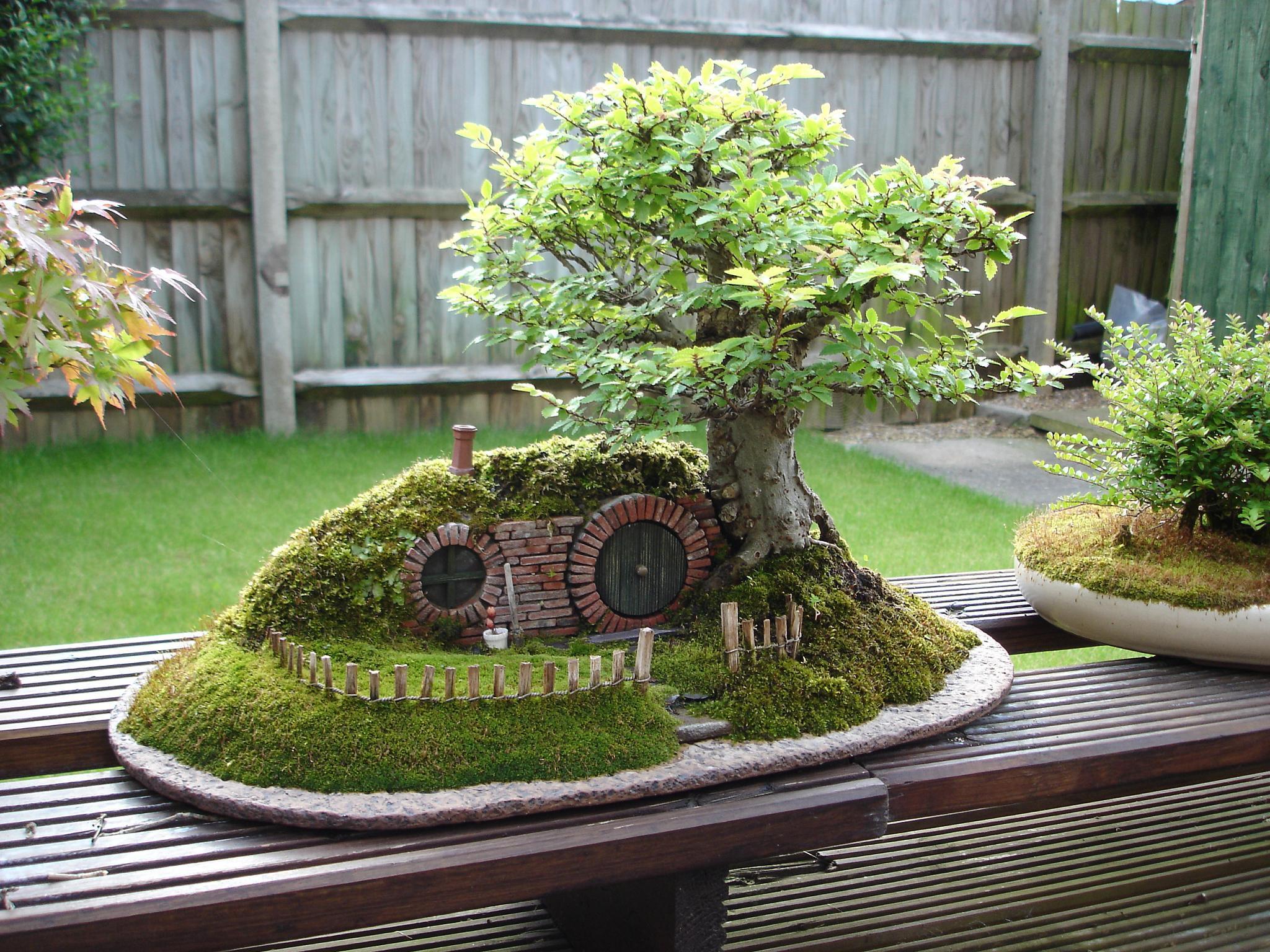 hobbit house bonsai. interiordesignable