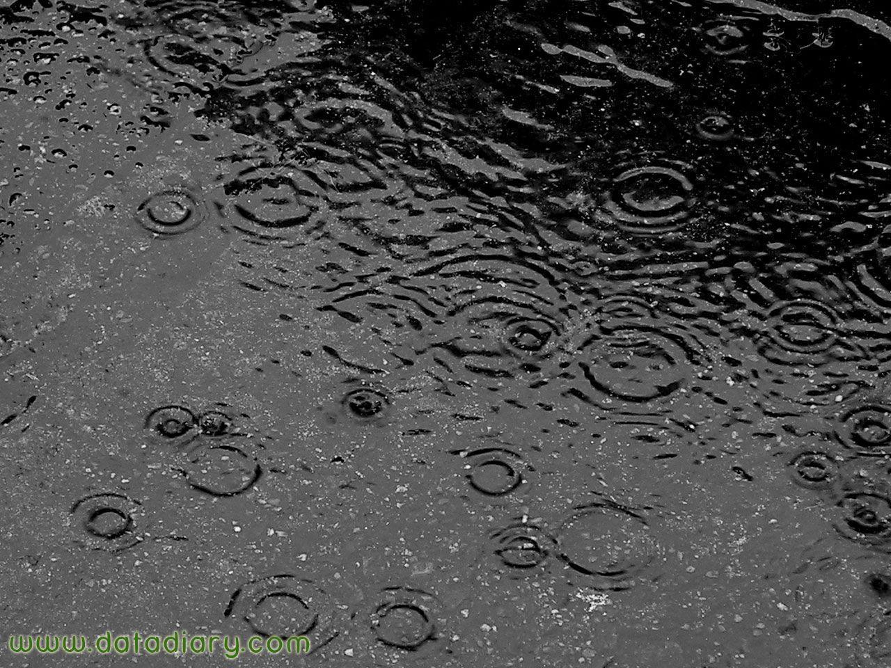 Datadiary. monsoon 1 Wallpaper