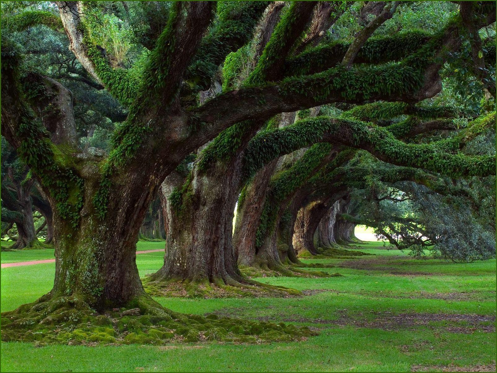 Indian Best Nature Wallpaper HD Cool 7 HD Wallpaper. Eakai