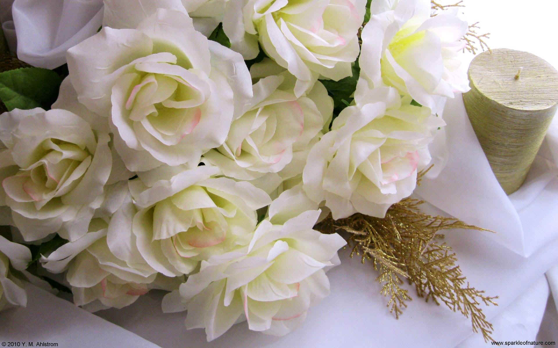 White Roses wallpaper