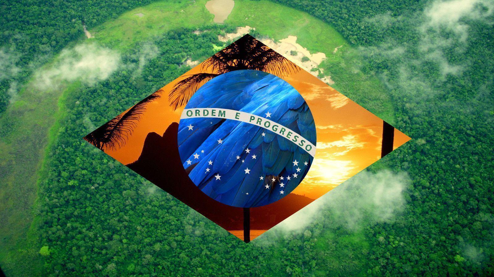 Brazilian Flag Wallpaper By Emma Constance
